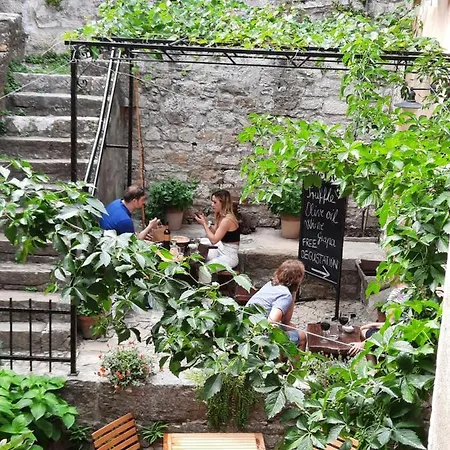 Bed and breakfast Antico Motovun