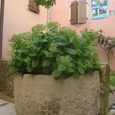 Antico Motovun