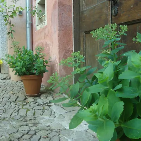 Bed and breakfast Antico Motovun