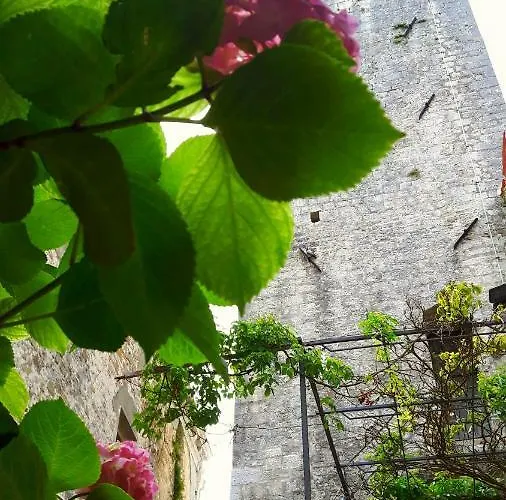 Antico Bed & Breakfast 3*